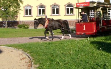 Die Döbelner Pferdebahn