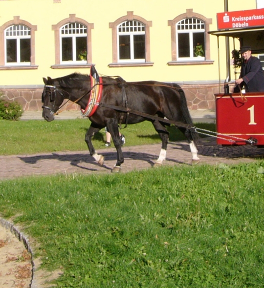 Die Döbelner Pferdebahn