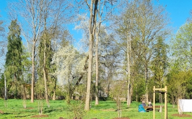 Oberfriedhof