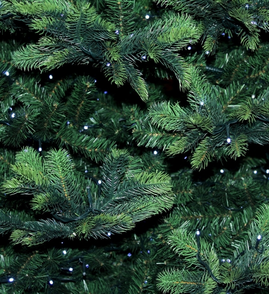 Weihnachtsbaumentsorgung