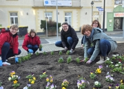 „Vergissmeinnicht“ für Demenzerkrankte und ihre Angehörigen