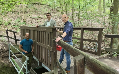 Neue Brücke in der Kühlen Schlucht