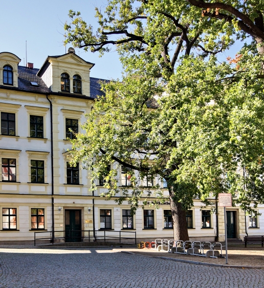 Weltenbummler und Detektive gesucht: Das Sommerferienprogramm der Stadtbibliothek Döbeln